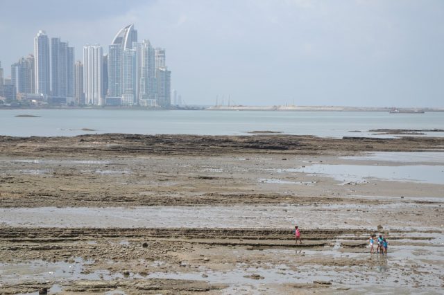 panama-skyline