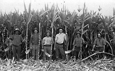 lavoratori-campo-lavorare in Australia