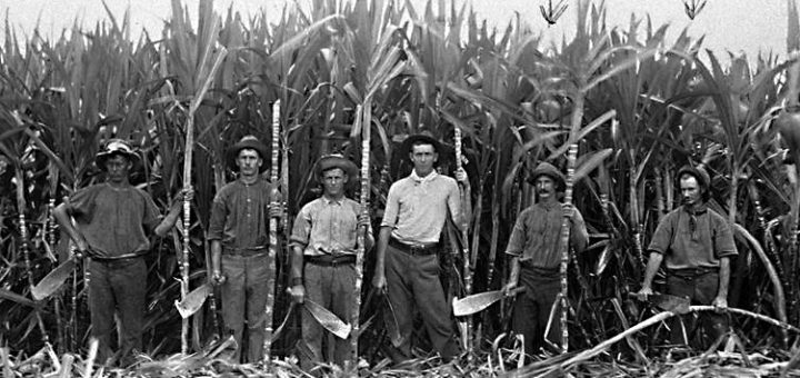 lavoratori-campo-lavorare in Australia
