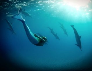 nuotare con i delfini-sirena
