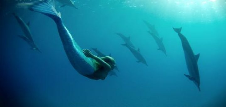 nuotare con i delfini-sirena