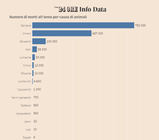statistiche