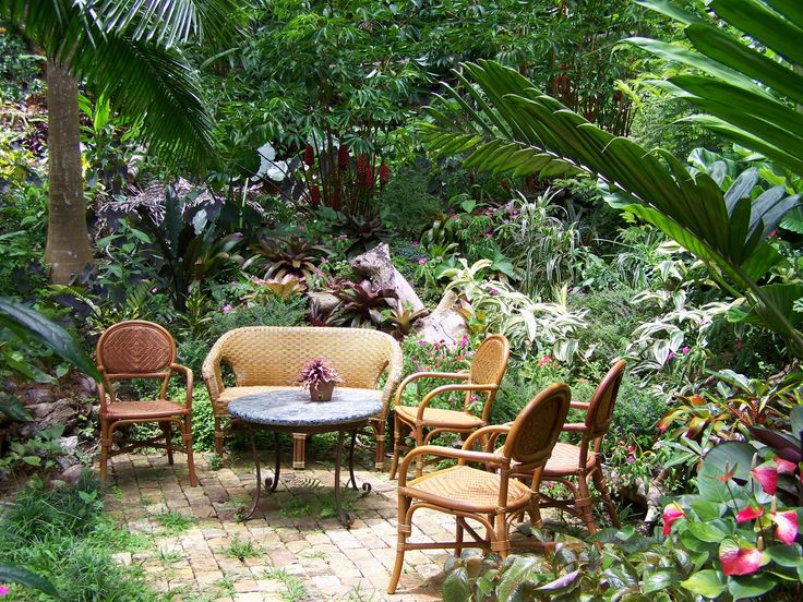 giardino-tropicale-con-poltrone