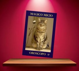oroscopo-magico-micio
