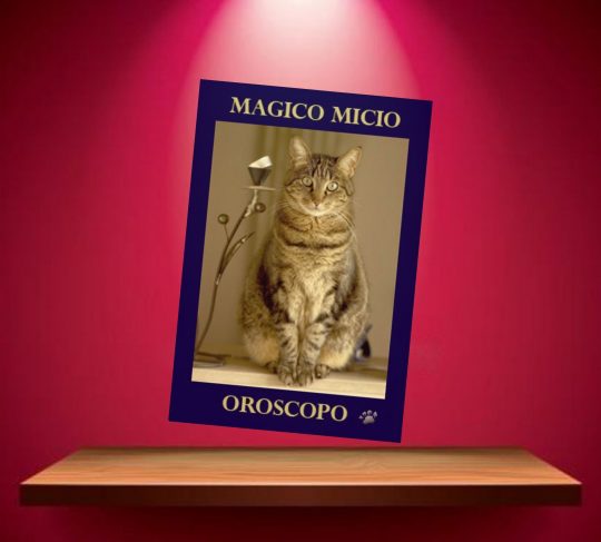 oroscopo-magico-micio