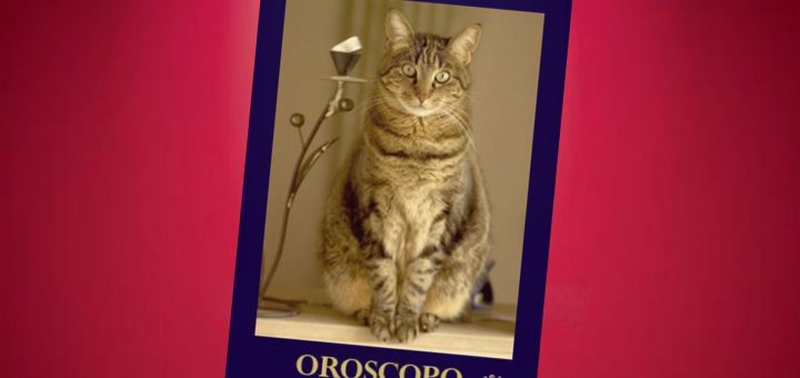 oroscopo-magico-micio