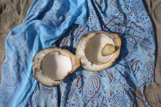 cocco