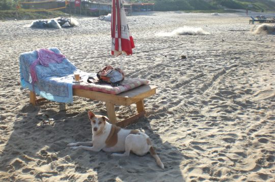 spiaggia-lettino-india