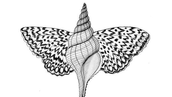 disegno-china-Piercarlo de Michelis