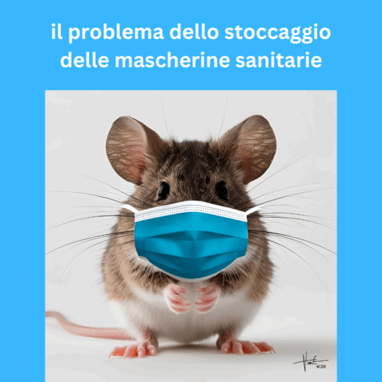topo mascherina sanitaria